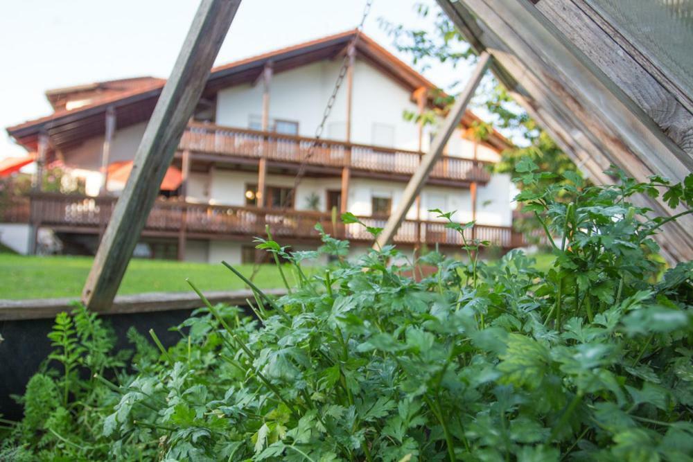 Auszeit-Wohnungen Aidenbach Eksteriør bilde